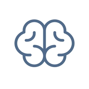<h3>Cognitive Behavioural Therapy (CBT) </h3>